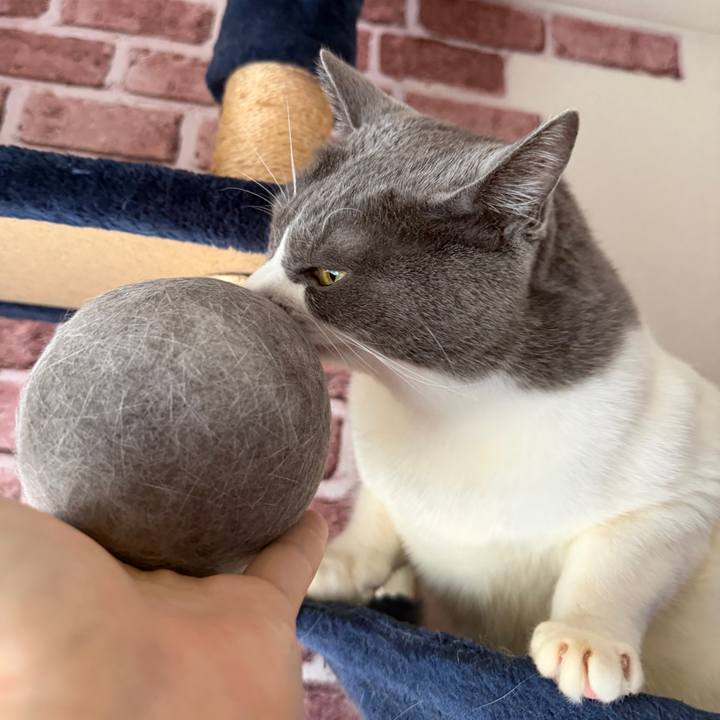 A21d40a7 bcd7 4bd6 bb07 0cd7abb1f24a 1765681266128