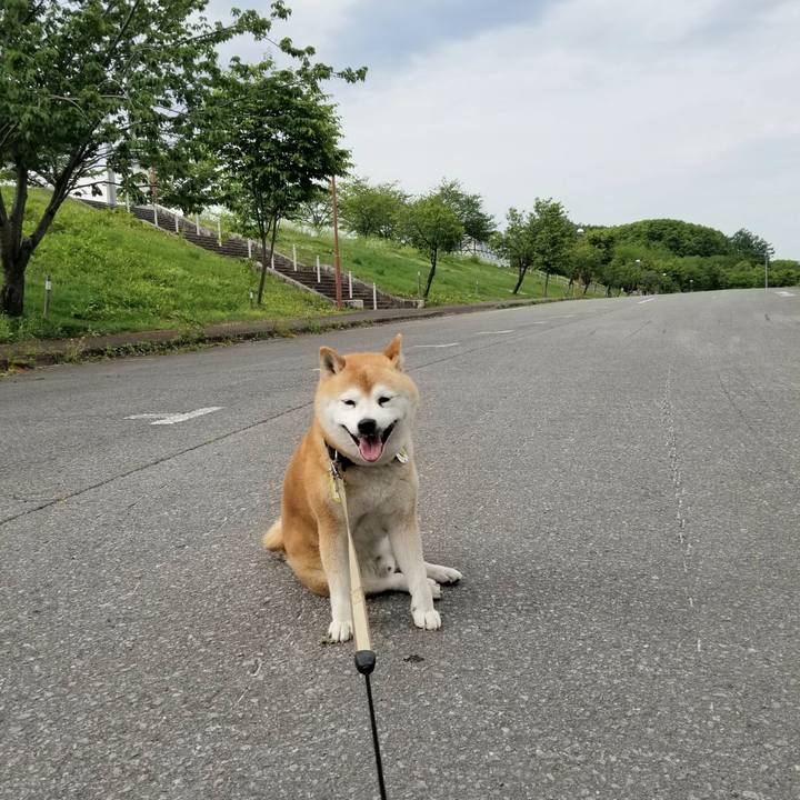 A21d6d98 0e55 451a 950f b2d0c17a48f3 1652336894529