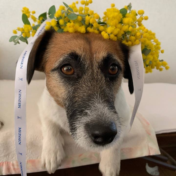 A21d7500 f7ba 406a b0ea c27db1a1d2a1 1584850605796