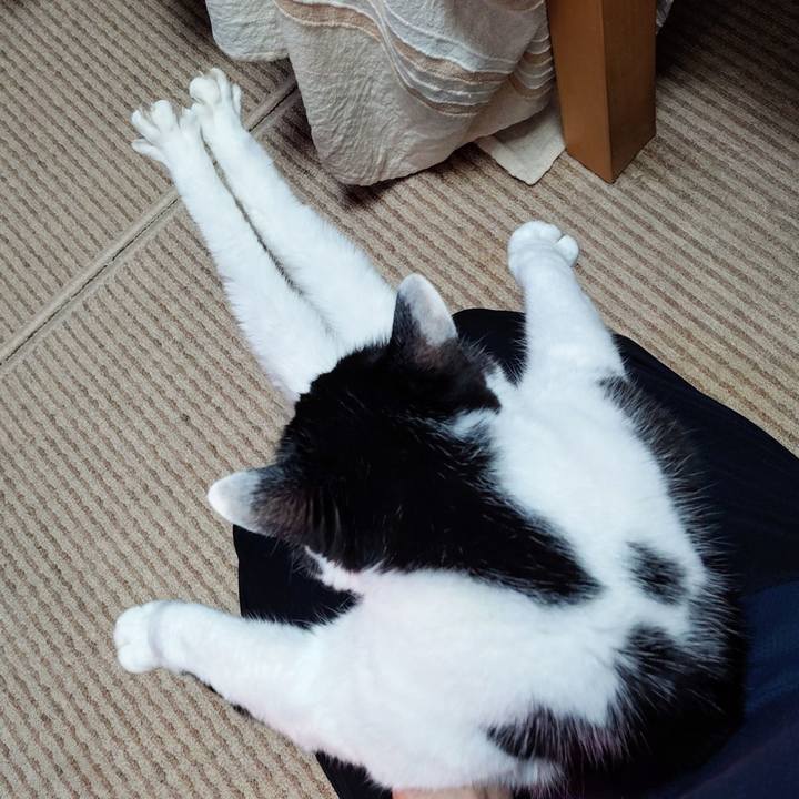 A21ddd00 481e 46cc 939f c67d0bb5c78a 1762952919864