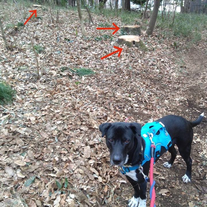 A21df52b 0b3d 4c67 8cae e5d0b91786c1 1613088032387