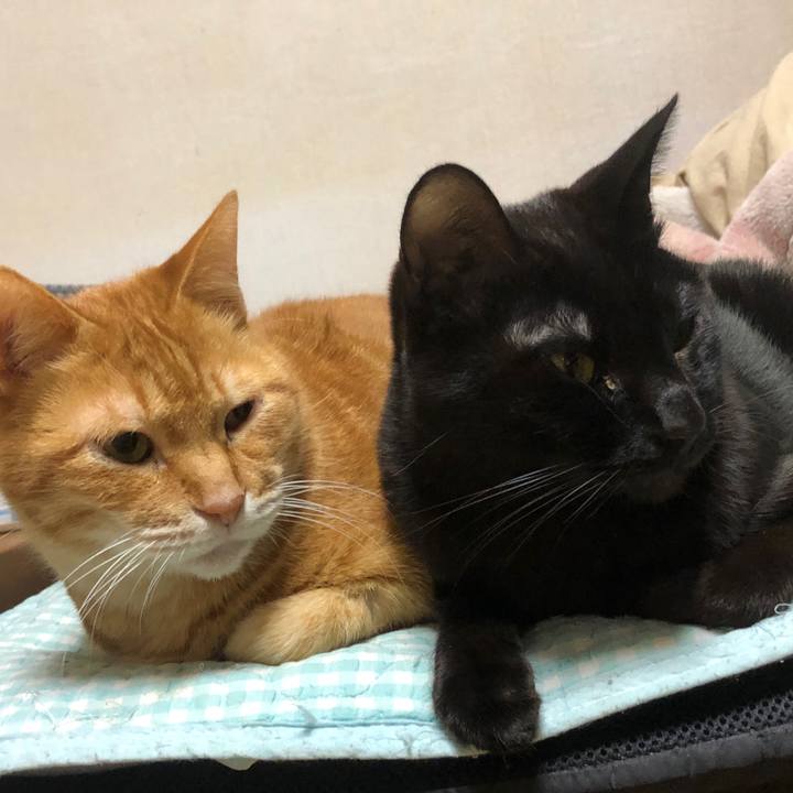 A21e2110 9b96 4028 9e1f facd9fadbfba 1736334118231