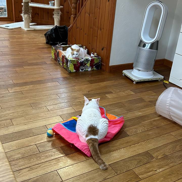 A21e290e 3a09 418a 940f b193139b9d99 1684879155006