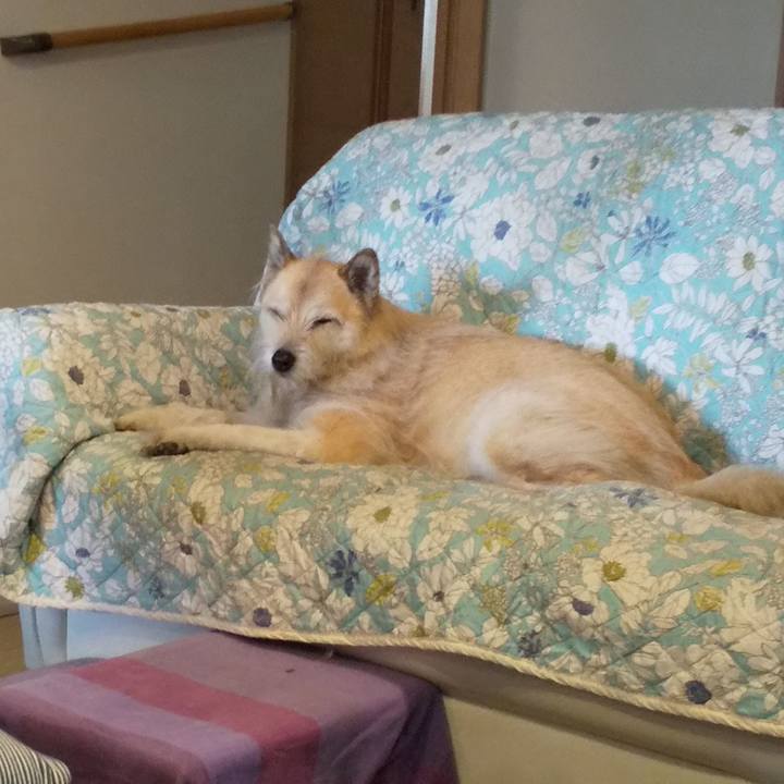 A21e2df6 7c72 4268 ab20 3b9371b40306 1557643191830