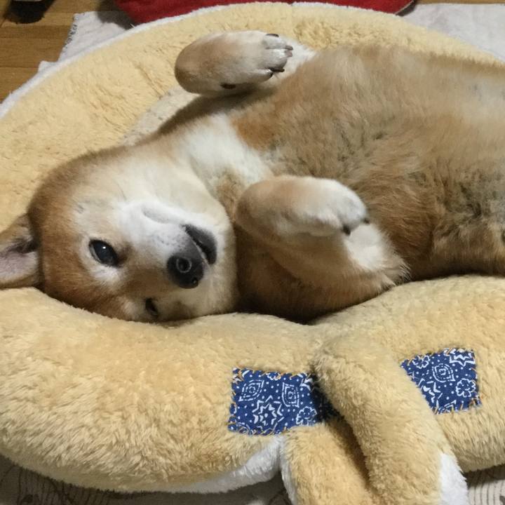 A21e45a6 1cb9 4df5 a28a 204a69bab8ff 1622464757440