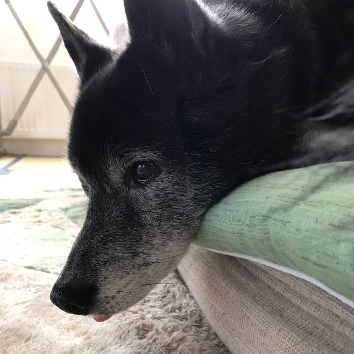 A21e5eef 9107 4dcf 9b0b 40458e889b00 1661834285691