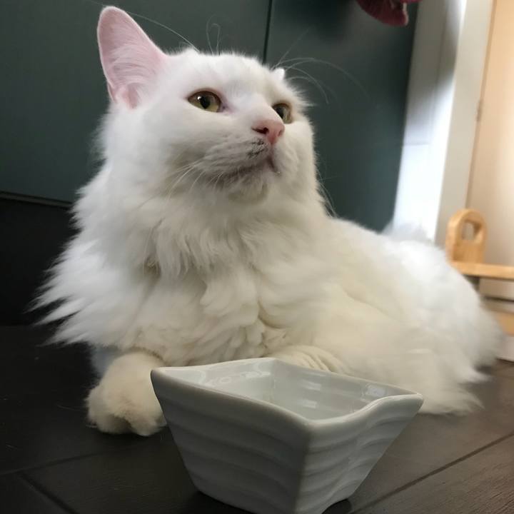 A21e9554 2aba 4421 a3c7 8eb15d26b3fe 1532319087608