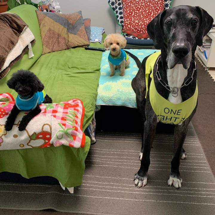 A21e9850 52f0 4fab a467 18a08c5bad25 1590532707421