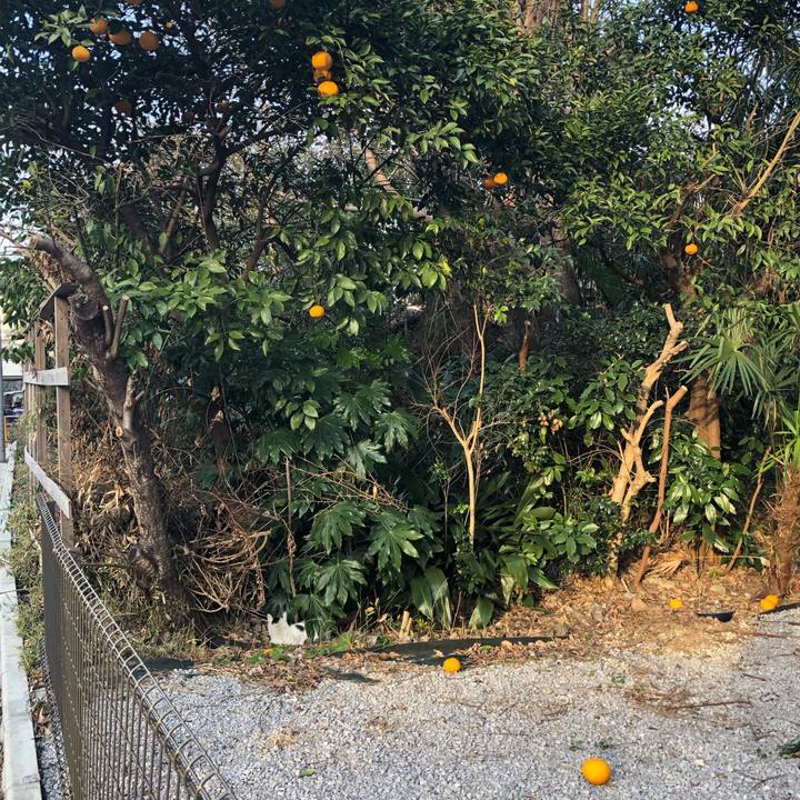 A21eba40 947b 425a 8388 984d4d9b9c68 1551087318922