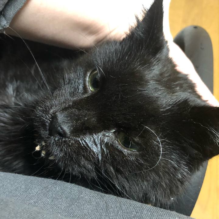 A21ee899 f926 48b4 ac3b cdd986ded273 1645701481849