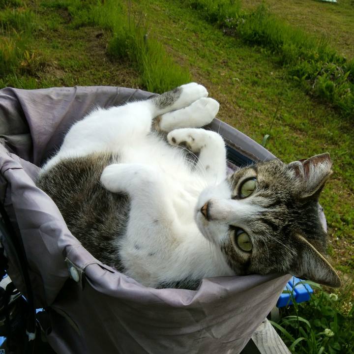 A21f276e 334a 4670 aeee 5b5ba7ad8499 1557360003184