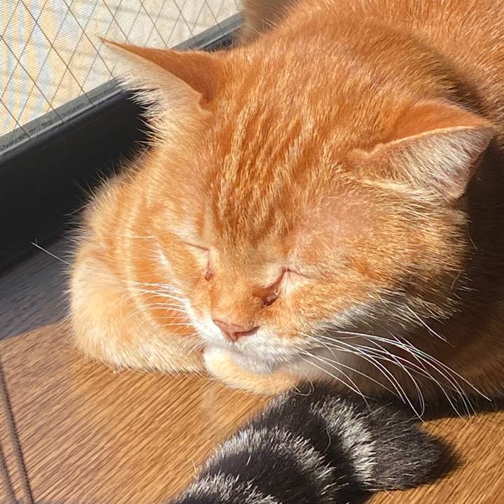 A21f33ba 783c 448d a608 26f4a95ee988 1586301473086