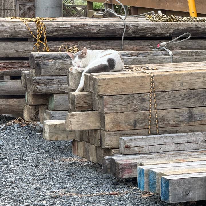 A21f7390 c779 40bd 80f7 d80bfa977df8 1755216184222