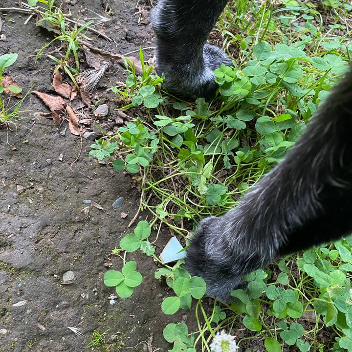 A21f7745 8f5f 4c78 abc1 aea45f7deff2 1687531362961