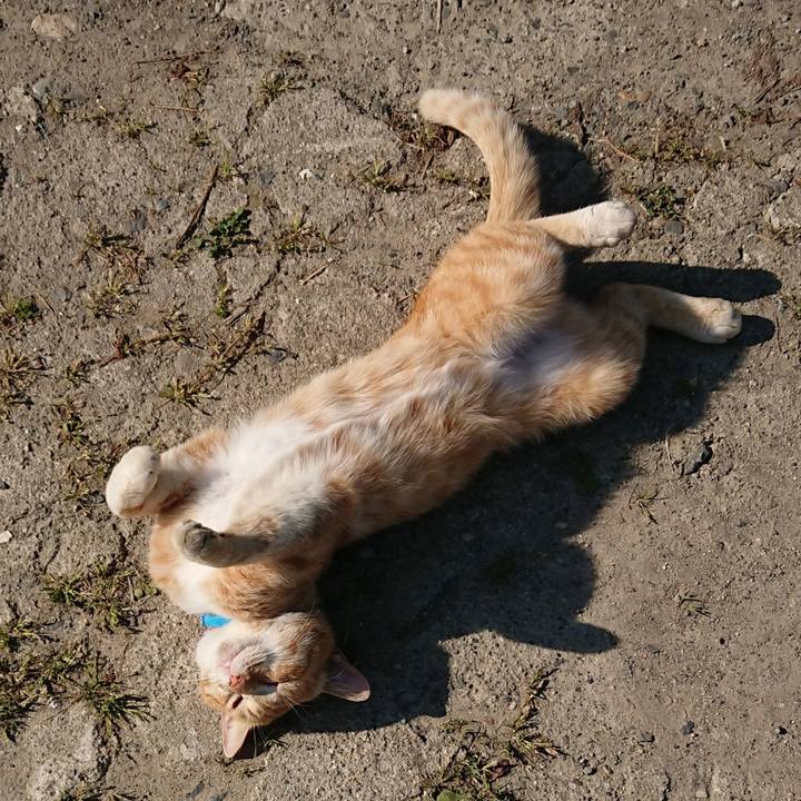 A21f916f 7227 46db a955 30ff450508dd 1557651808725