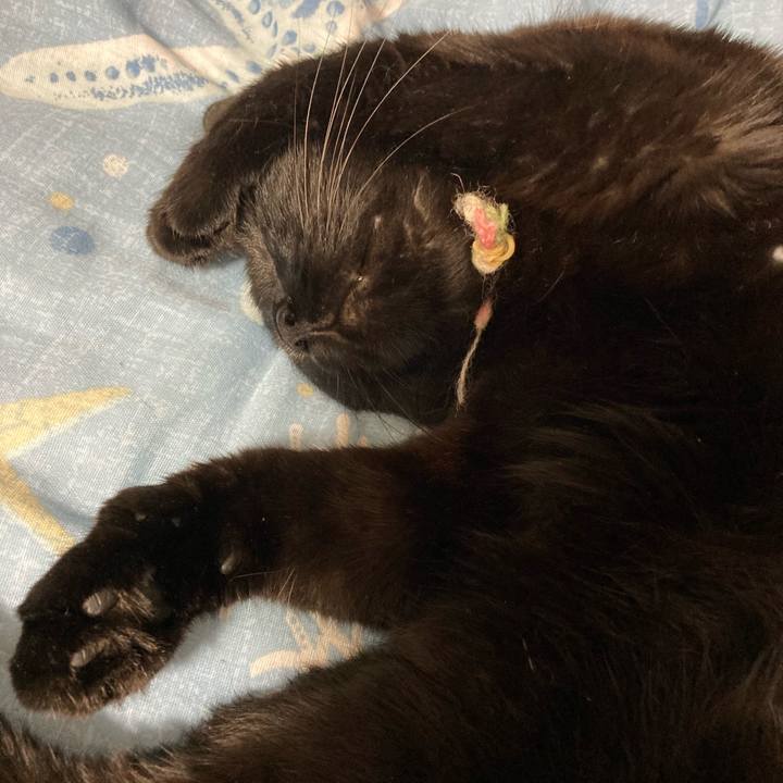 A21f9662 7b50 498e a71e 4f68215603d9 1634432913568