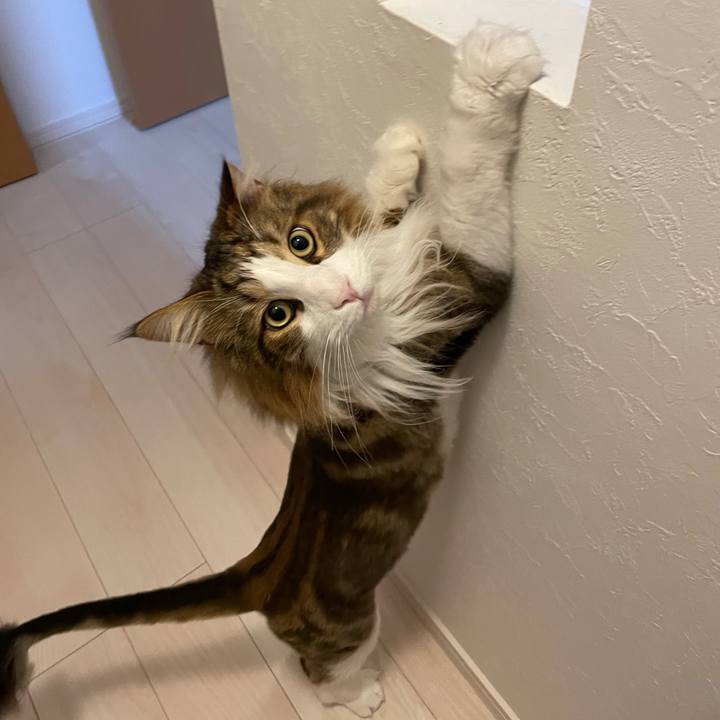 A21fb00d 82f4 4435 bec6 839383ad236f 1689969218039