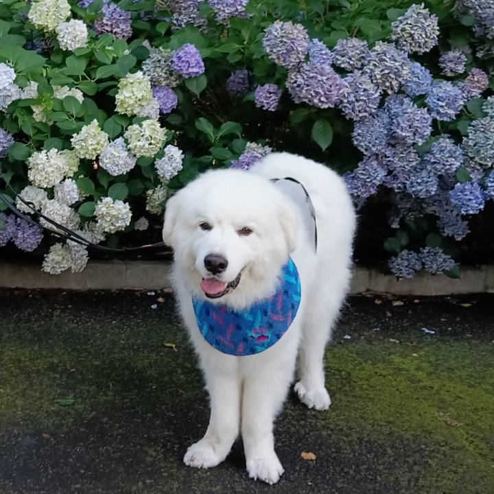 A21fc059 1c4f 44f1 9b2e 33cc18b140cd 1719667311518