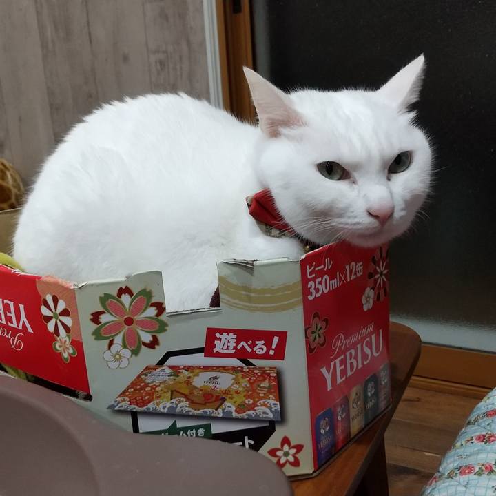 A21fc799 4ef9 4ce6 a74b c71c98b8b50b 1673361259074