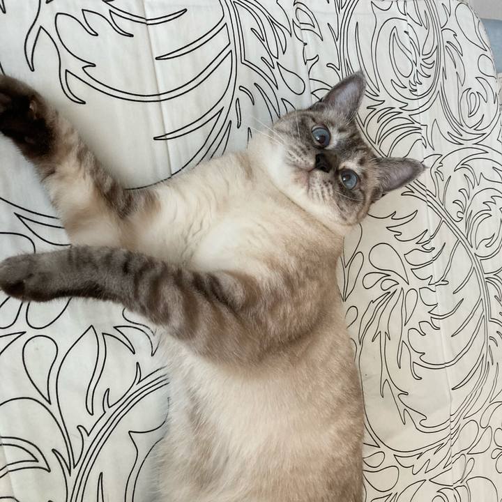 A21fe62b 7638 43db 8675 39a0f9bb00fa 1626917129572