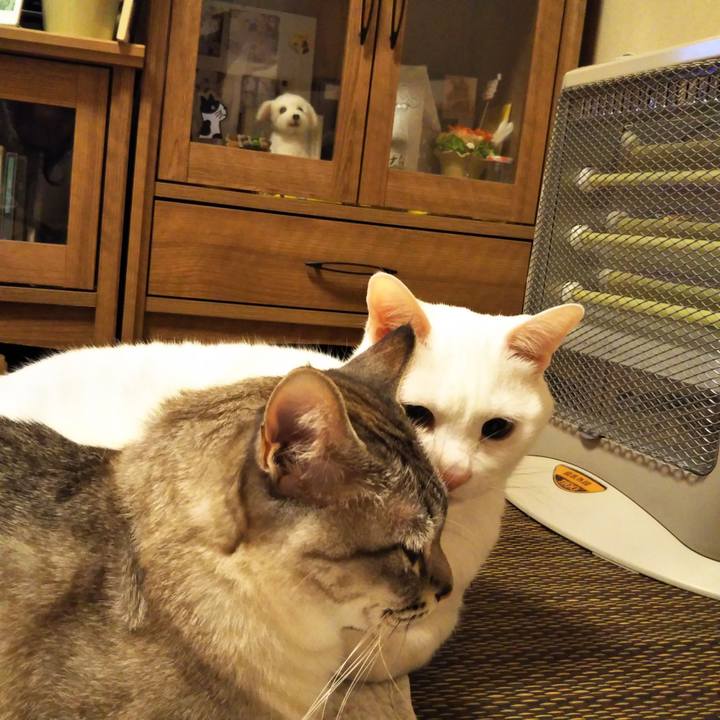 A2200f1a 0f52 4627 85a5 1f266a6788d0 1587398541570