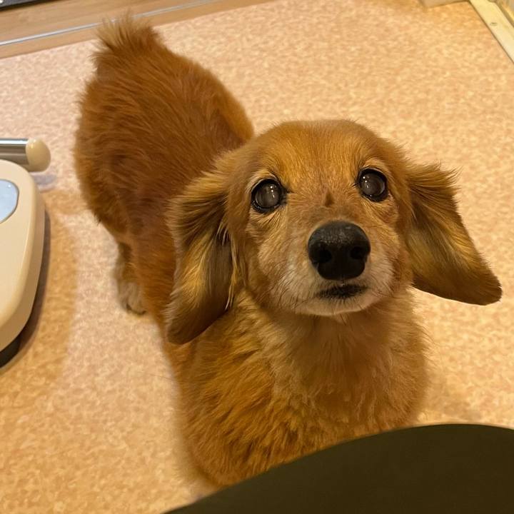 A2201661 8685 4552 948b 8443220a9aae 1643810998719