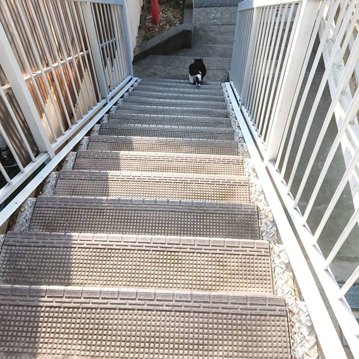 A2202183 7ad6 47a0 91cd 928754397284 1598326799968