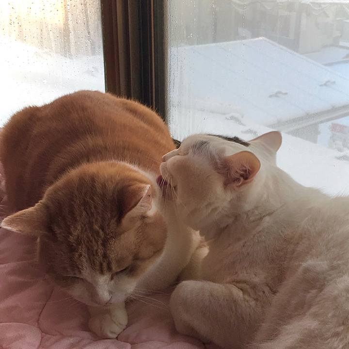 A22025b2 5f77 41b8 987d 40507431f19a 1613629903065