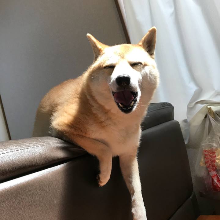 A2203dbc 58ab 4ea0 873e 6939003b6d26 1533037878806