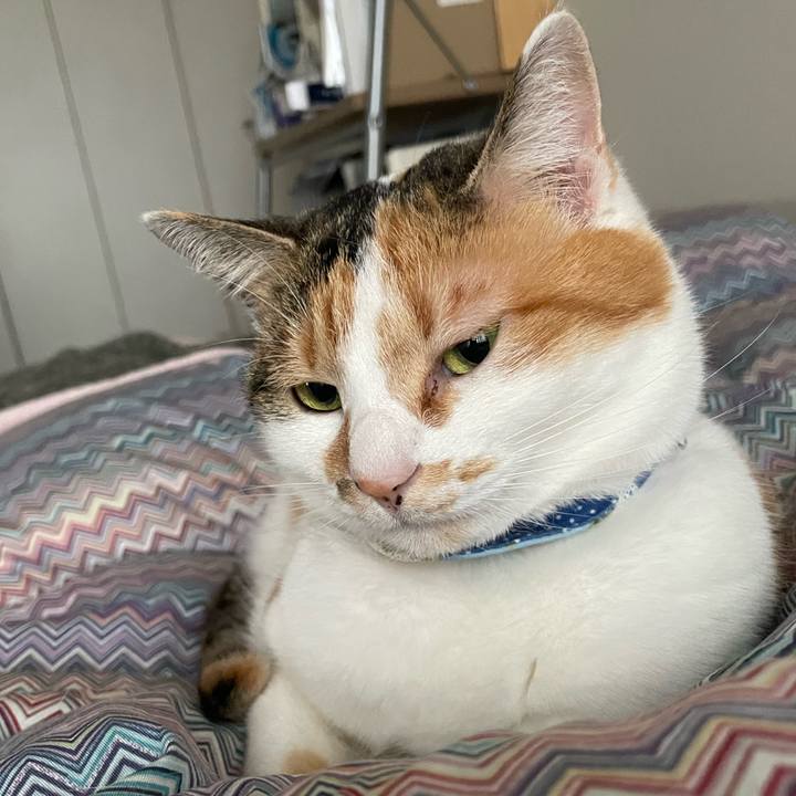 A220b14e 6fd9 44aa 8619 7bc396d5daa3 1709767956246