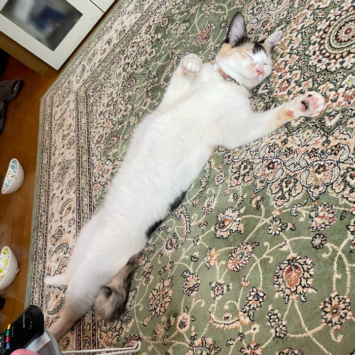 A220c4c2 8d70 4a76 88c3 044e55280ec7 1694383899672