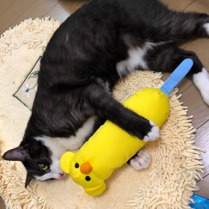 A220f18c de10 42d8 a4e7 bb74774b12a6 1534489210433