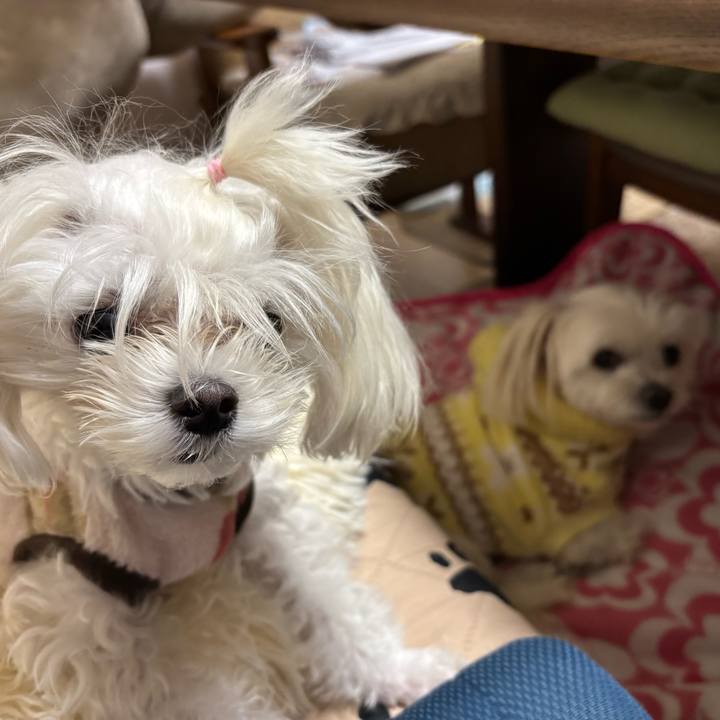 A2219422 46bf 434a aafc 2afb57426871 1732877330486