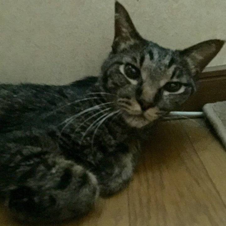 A2219c12 3536 414a bc6a 8b107f50c6bf 1534924538799