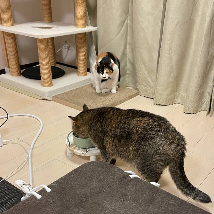 A221aabd 9b7c 4a77 aee2 813da64fd4f4 1610975404738