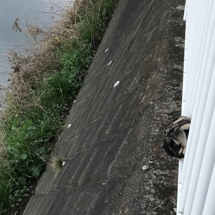 A221ef9a dcb6 4091 b6eb f006efc9a77b 1521883738468