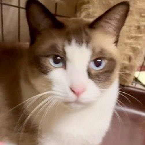 A2220085 ef4b 44fb 8c63 4aae949fe719 1758793716426