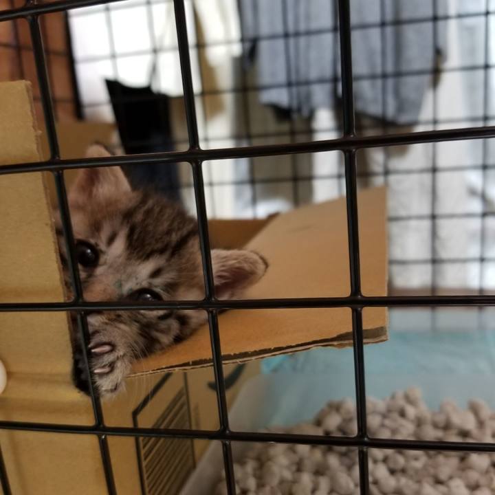 A22207e8 f941 46ec b581 40ebb9deb43e 1660145266199