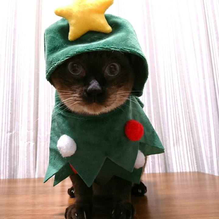 A2220acb 45cb 4866 9c93 b599f0fb67ce 1542459338286