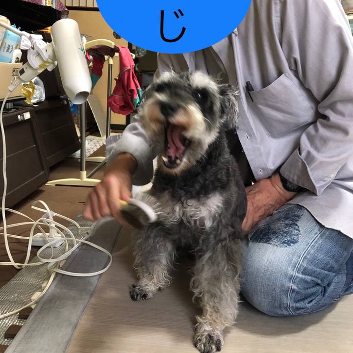 A2221771 429b 45da abb9 e0e31bc8a7ed 1635900943912