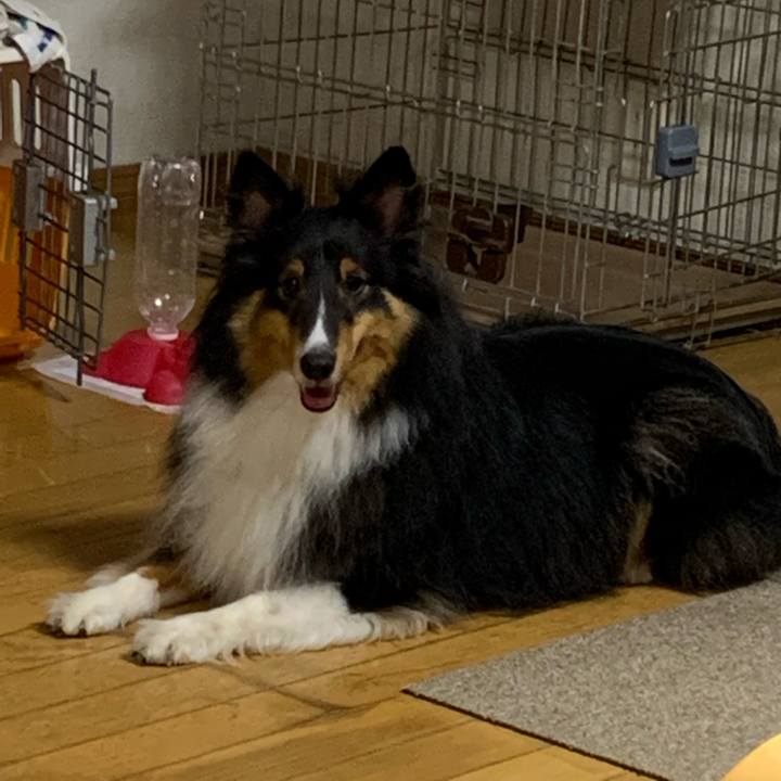 A22299f4 6b26 40e2 b61f bb83149b502f 1599096947056