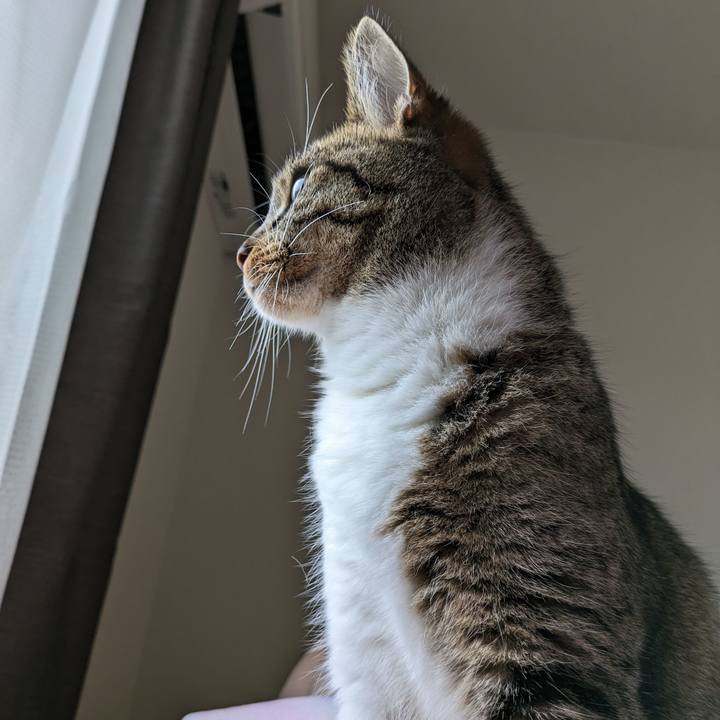 A222acac 2cf3 48ee 8386 a47ea80ea149 1688772886122