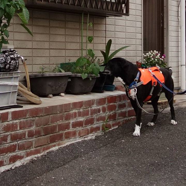 A222d89b 923f 4e53 8430 71f706bc94aa 1717843794553