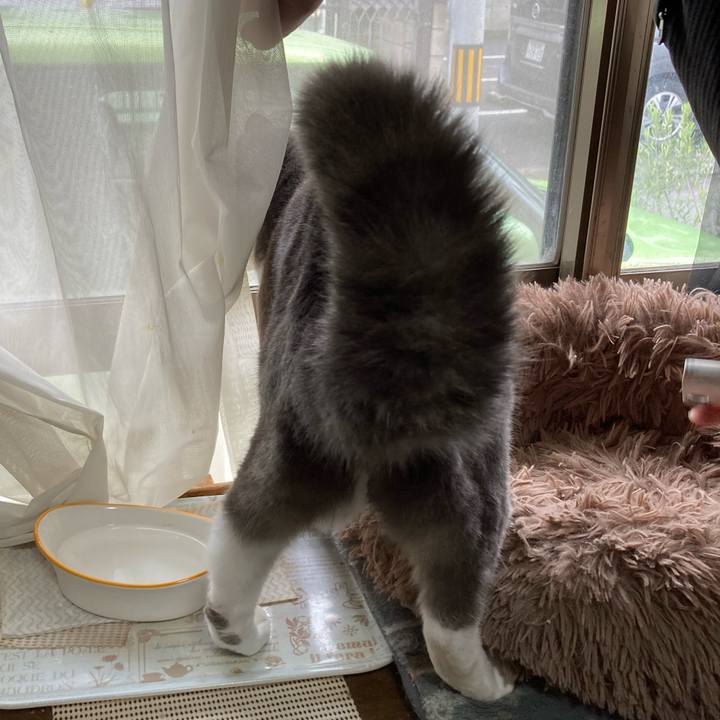 A22320d8 df61 43dc 8cae 14825be4870d 1716176803263