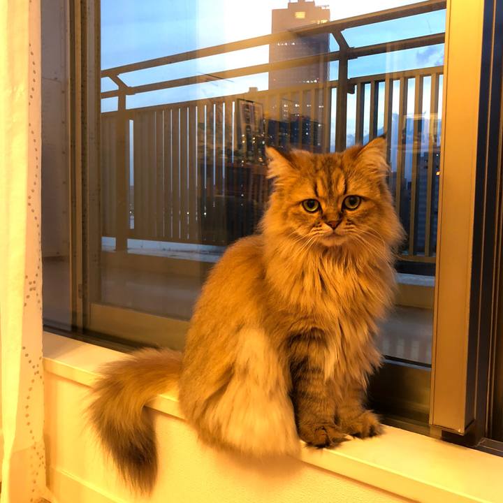 A2233c36 ef0d 4c92 87cc 5a6b2e44b8ba 1537779273719