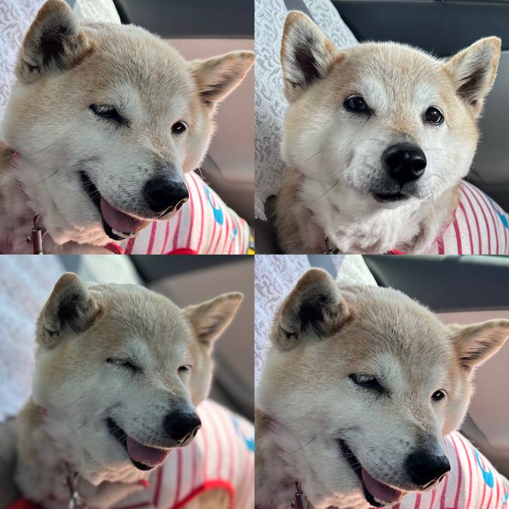 A2234355 49c9 4285 a257 e2db14f2af9d 1746339696790