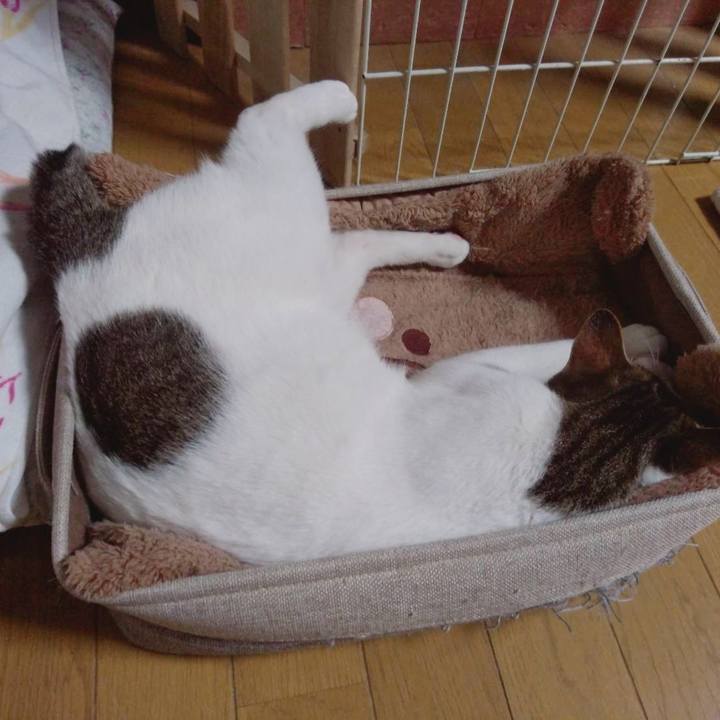 A2234845 7352 45a6 8250 d3720fdc07e3 1676458766457