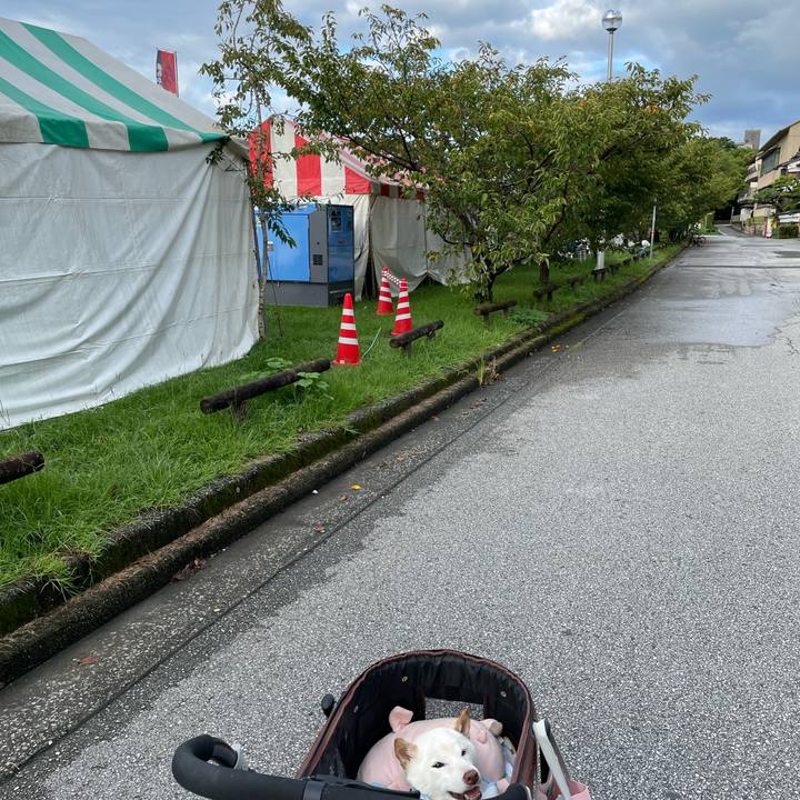 A2238860 5515 42a1 9edf c6f91fd11c9a 1662880509276