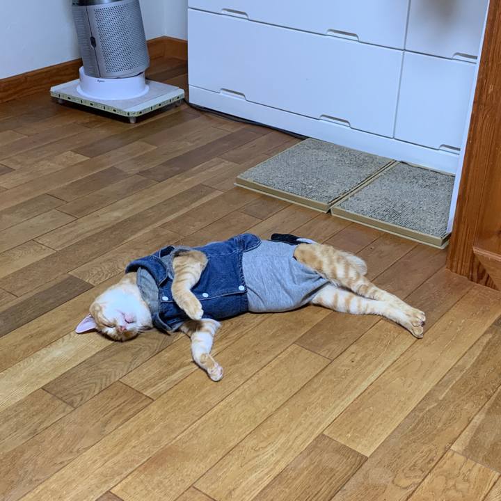 A223a7bb f8f1 4d37 9dcc 1f4830a18a54 1660397033390