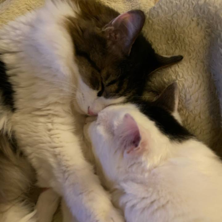 A2241f4f 99da 46c8 8ce8 9e76f5617dbd 1612433007489